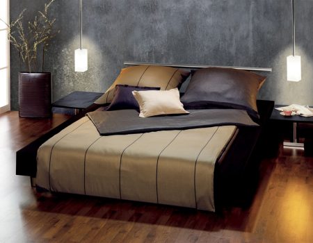 PrL_Fleuresse_Basics